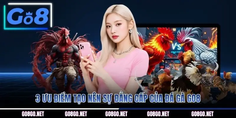 3 ưu điểm tạo nên sự đẳng cấp của đá gà GO8