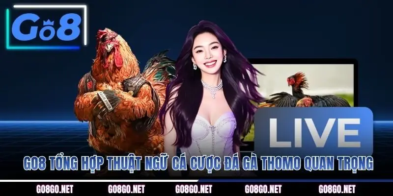 Mục đích thiết lập điều kiện điều khoản GO8