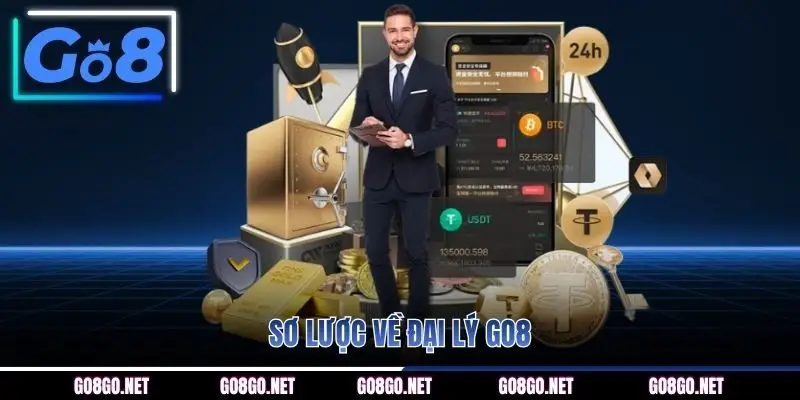 Sơ lược về đại lý GO8