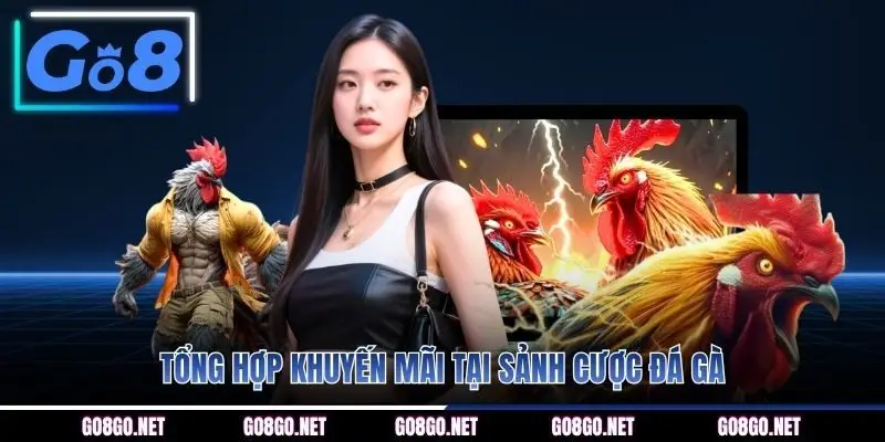 Tổng hợp khuyến mãi tại sảnh cược đá gà